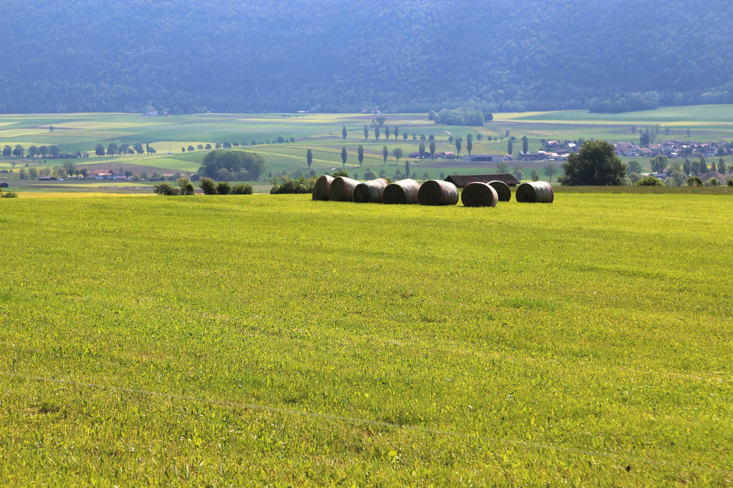 Ruralis agronomes ValdeRuz18
