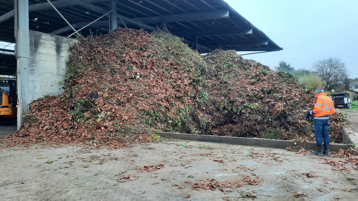 20241108_091245-1500×844