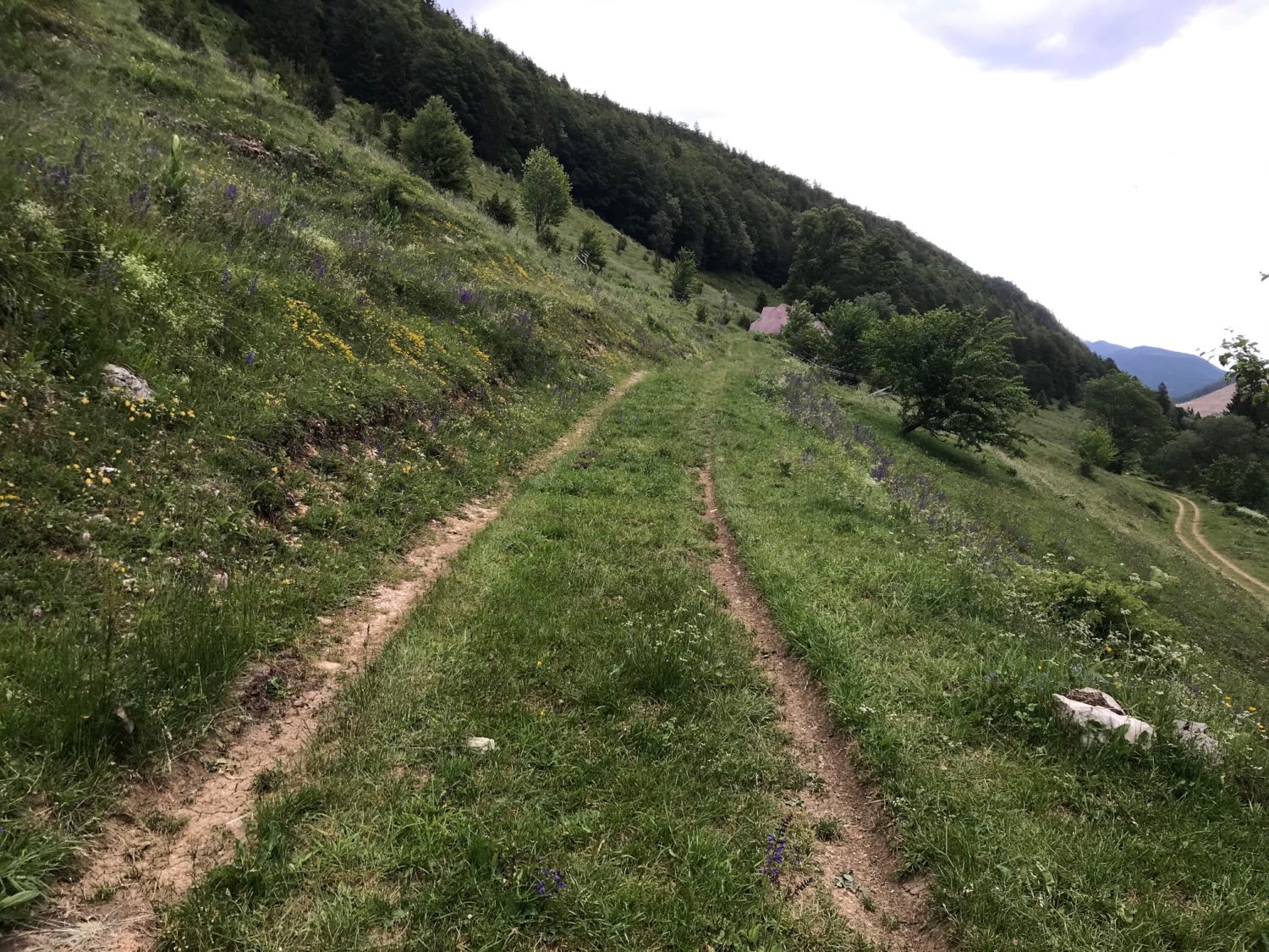 Bienne-Ruralis-5-1500×1125