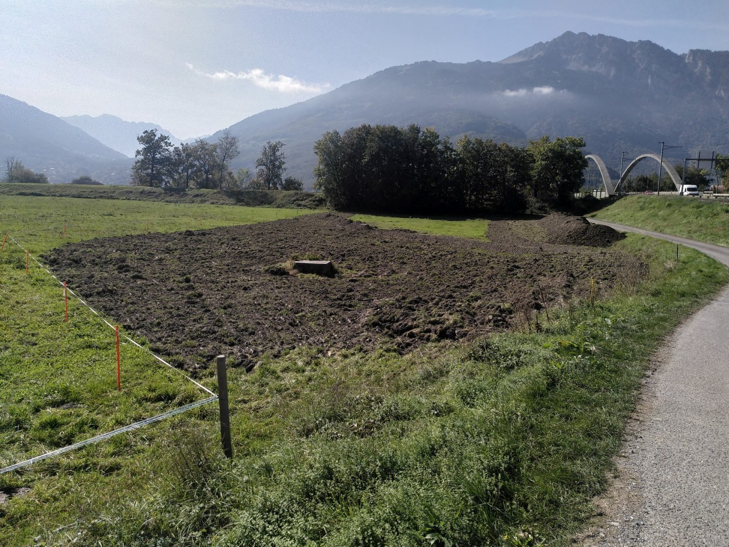 IMG_20231005_14061755-1500×1125