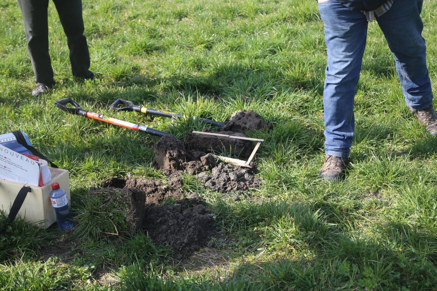 RennazPedo-18-1500×1000