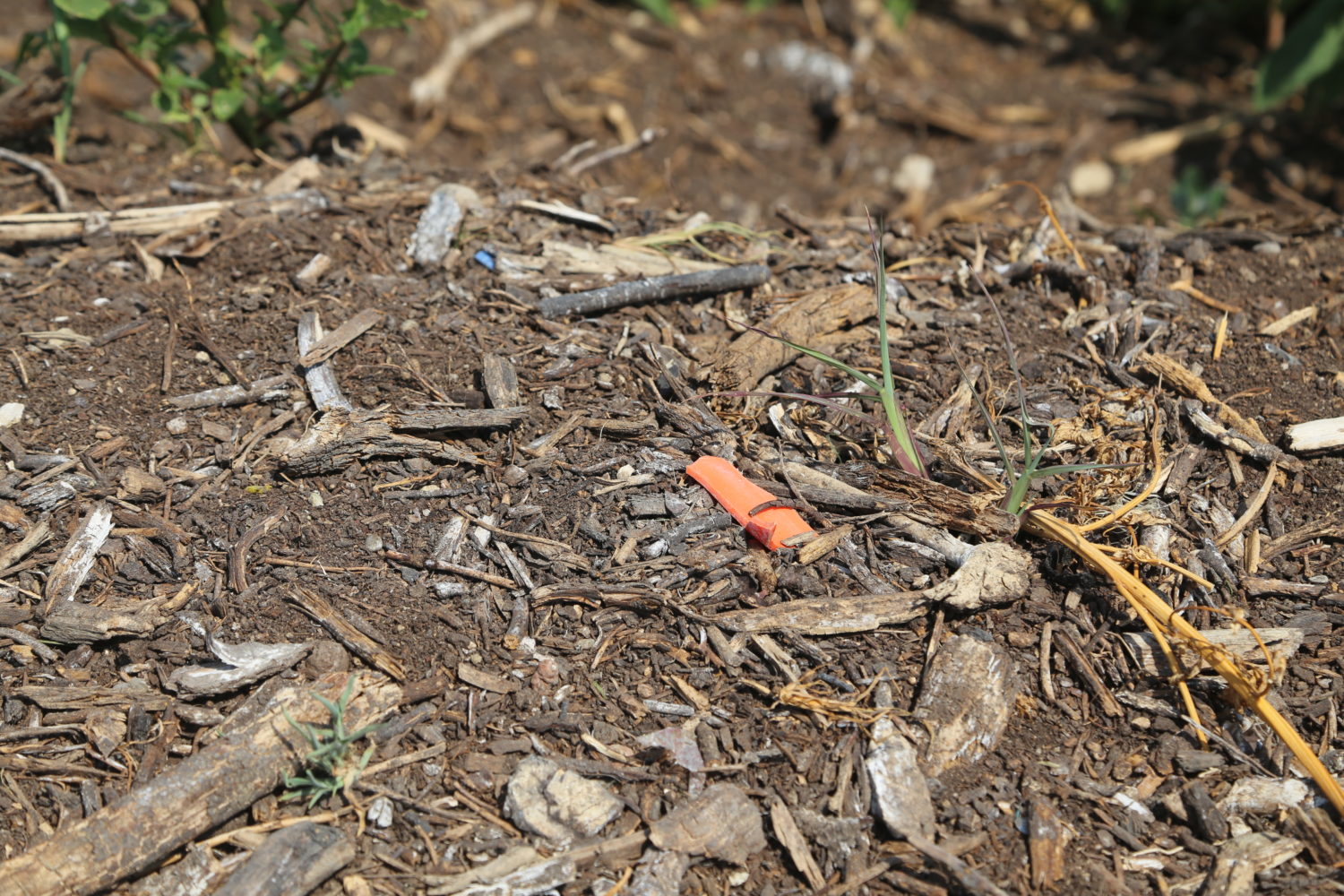 chatillon4-1500×1000