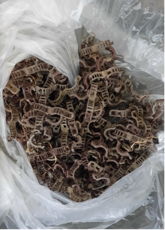 clips maraicher2