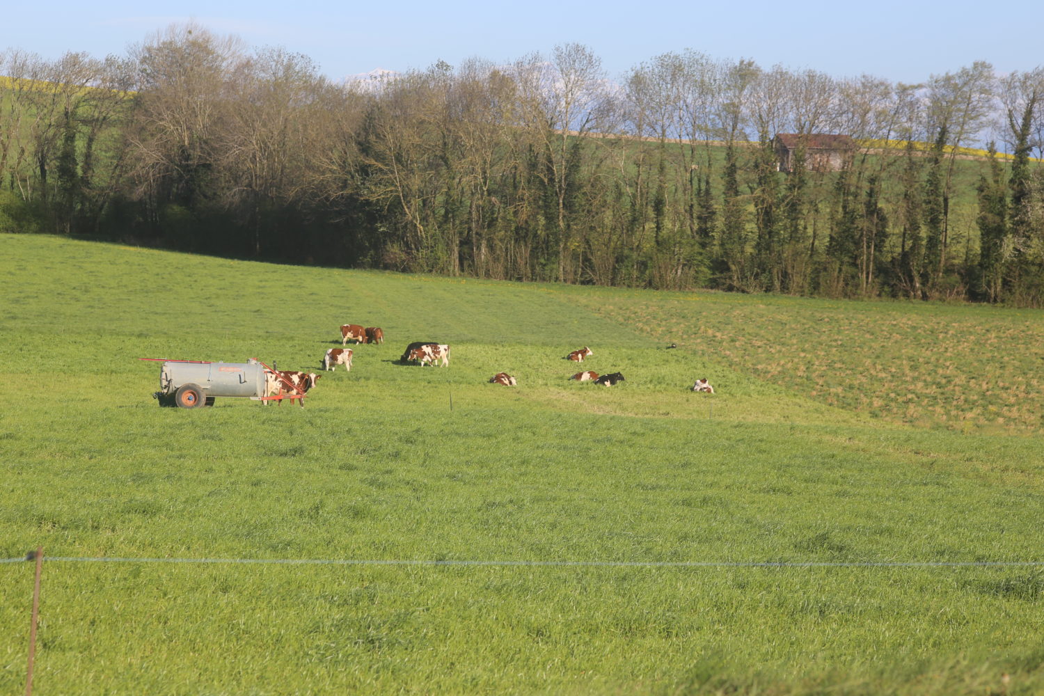 colombierVD119-1500×1000