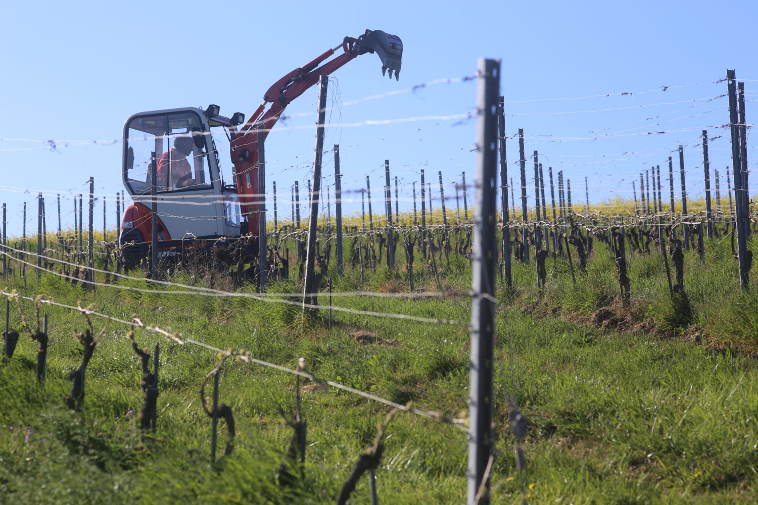 colombierVD29-1500×1000