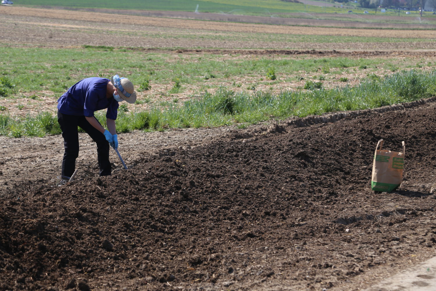 microplastics14-1500×1000