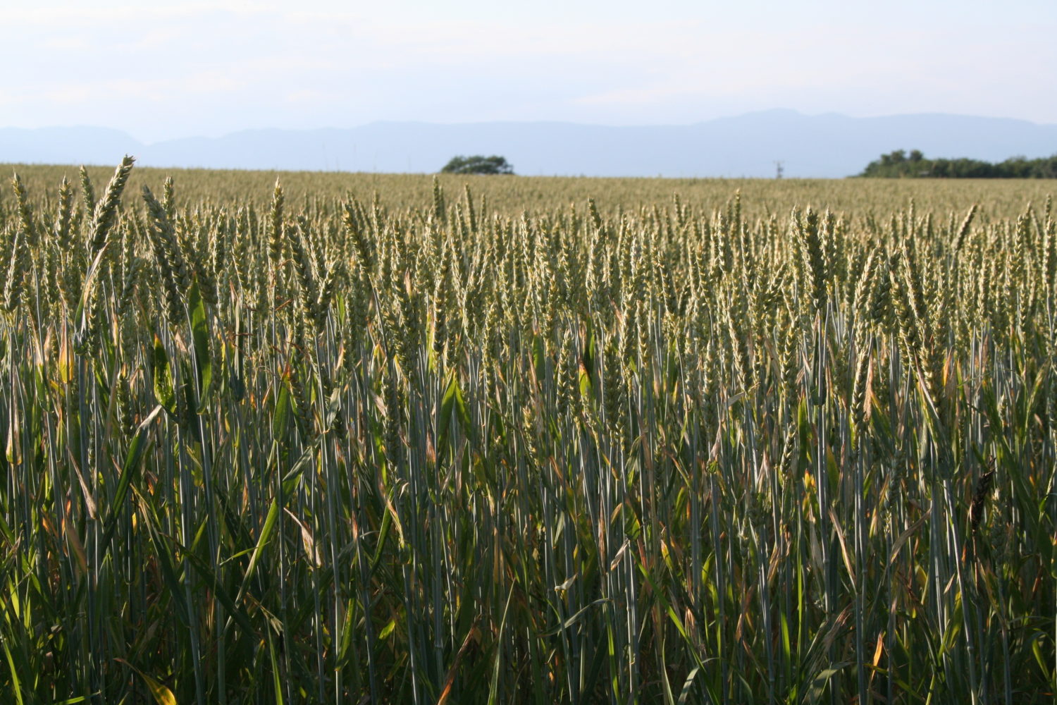 photoCB22-1500×1000