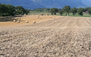 ruralis-agronomes-web-408