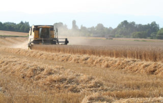 ruralis-image-27-1024×683