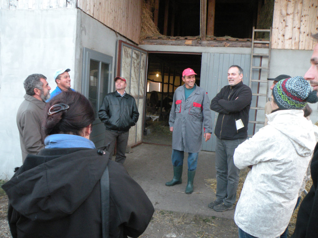 ruralis-slide-29-1024×768